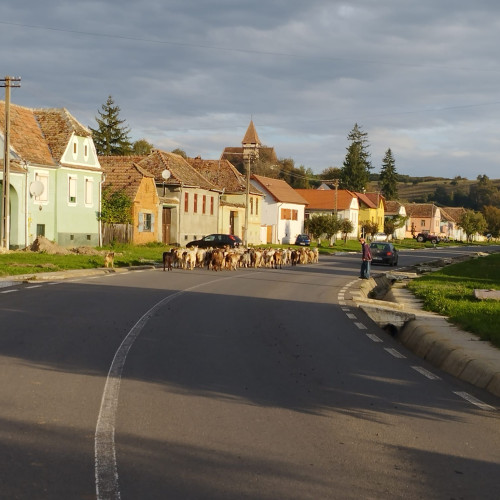 Consiliul Județean Sibiu repartizează fonduri primăriilor pentru 2025