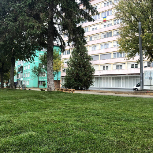 Primăria Sibiu lansează licitație pentru cosirea ierbii