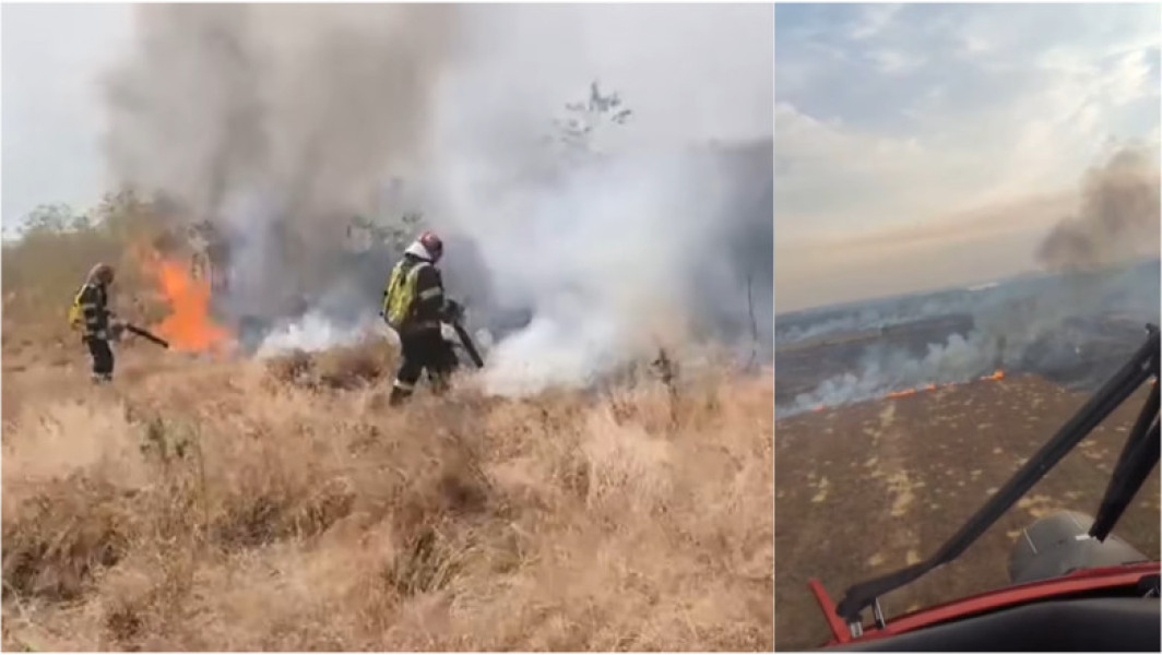Video Incendii puternice de vegetație în România: 700 de hectare de teren au ars în Tulcea. Intervin elicoptere Black Hawk