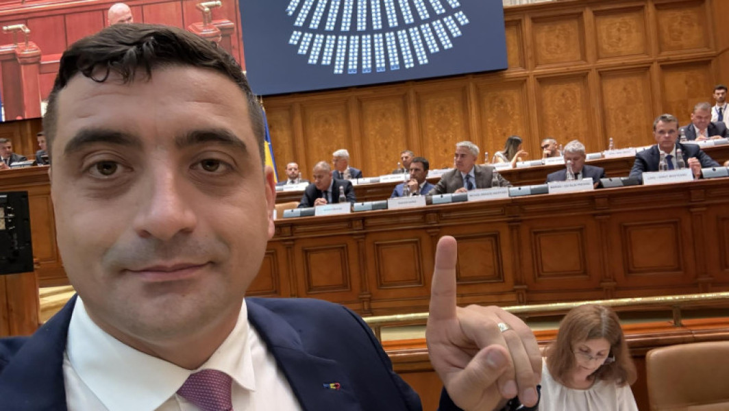 Controversă în România după un incident cu lebede și un sondaj pe Facebook