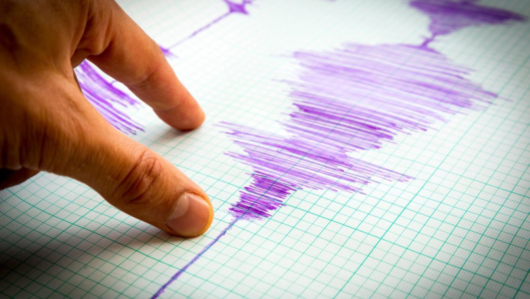 Cutremur în zona seismică Vrancea, anunță Institutul pentru Fizica Pământului